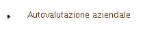 Autovalutazione aziendale